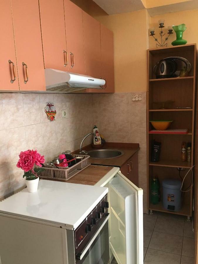 Ani Apartment Охрид Экстерьер фото